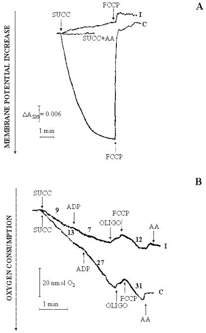 Figure 12.