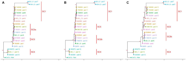 FIGURE 5