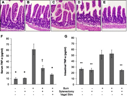 Fig. 9.