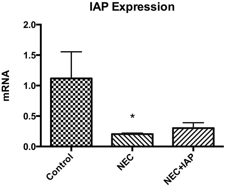 Fig 5