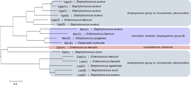 FIG 1 