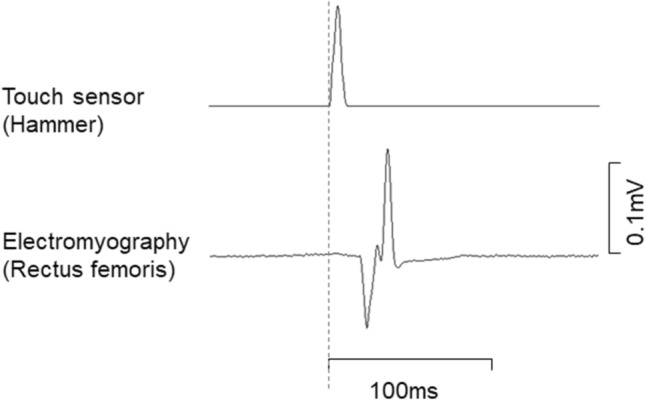 Fig. 2