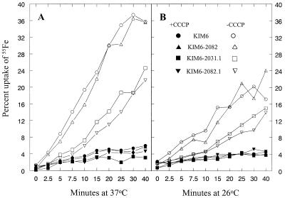 FIG. 7