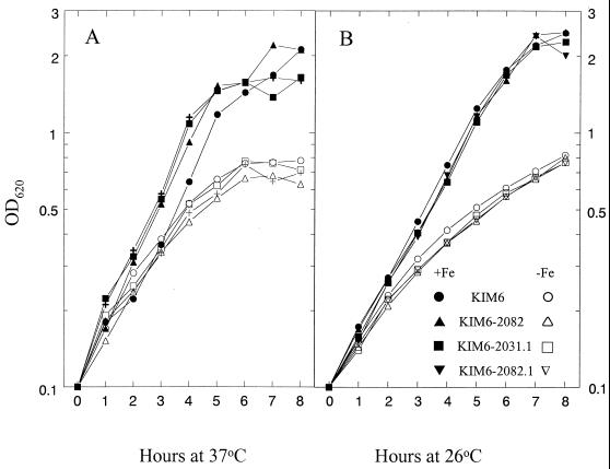 FIG. 5