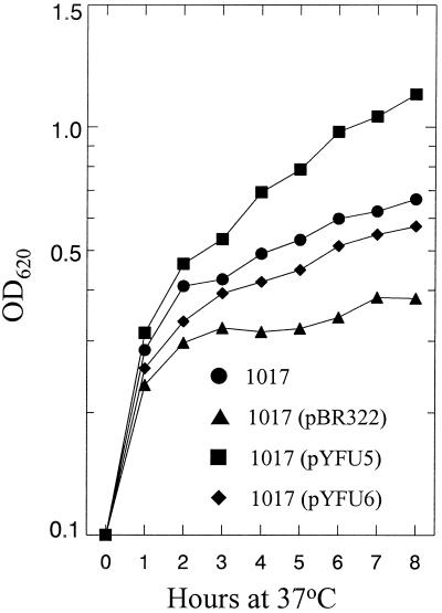 FIG. 4