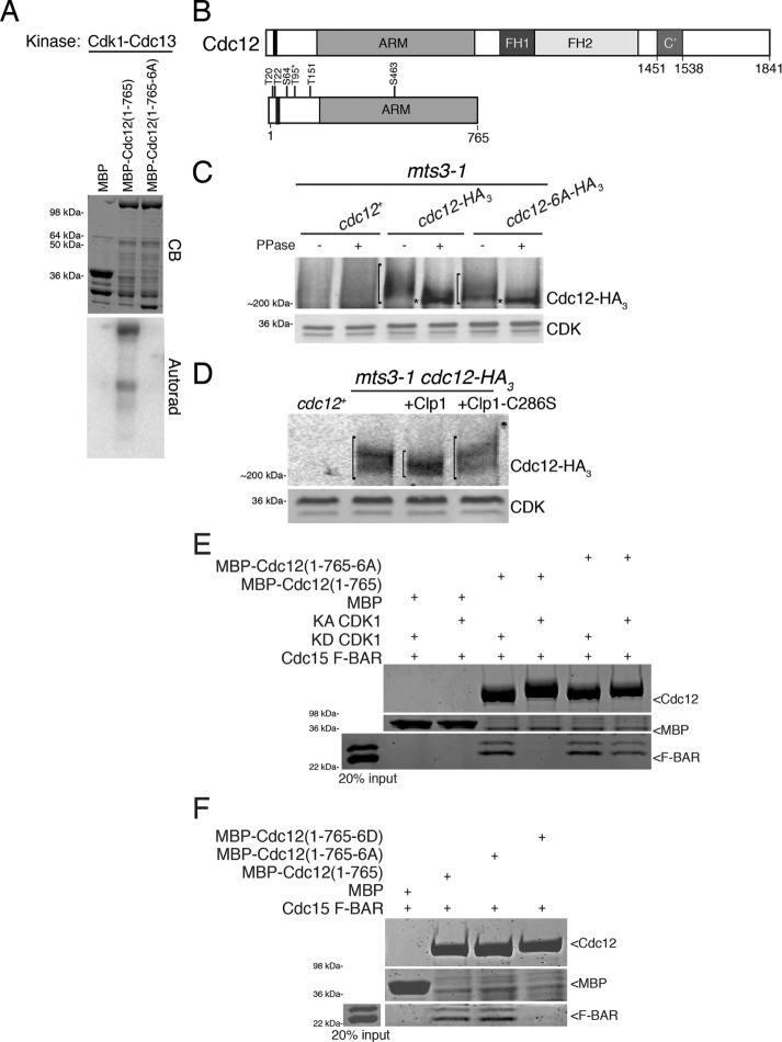 FIGURE 1: