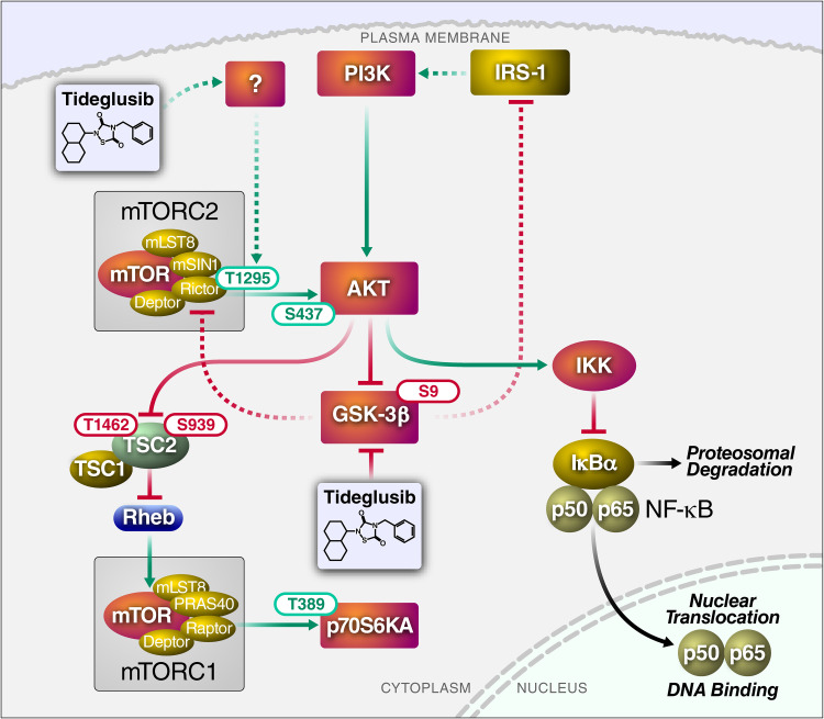 FIG 5