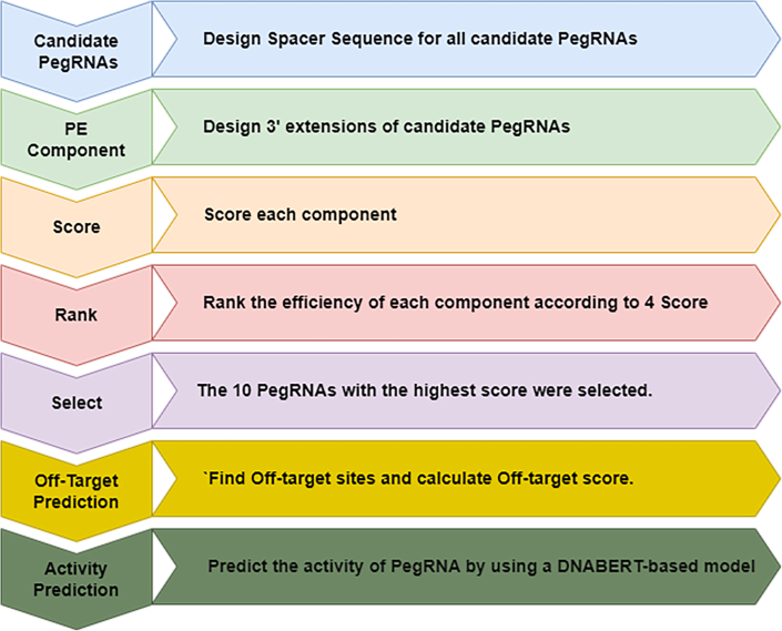 Figure 2