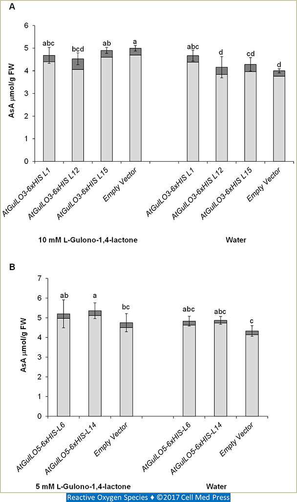 FIGURE 11.