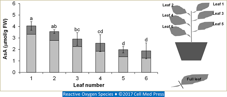 FIGURE 9.