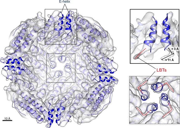 Fig 4