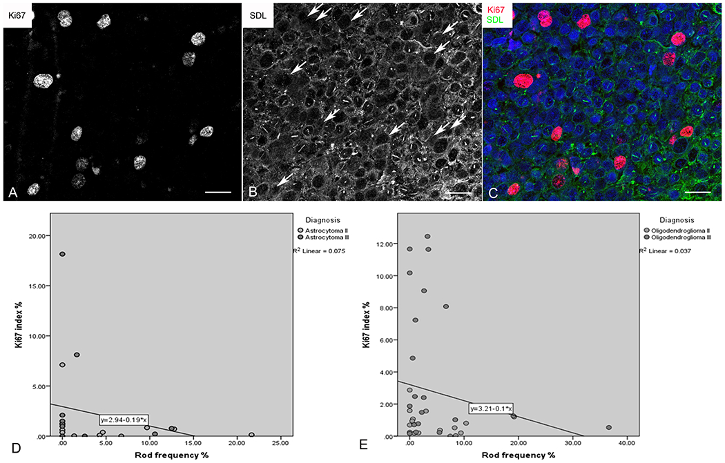 Figure 4: