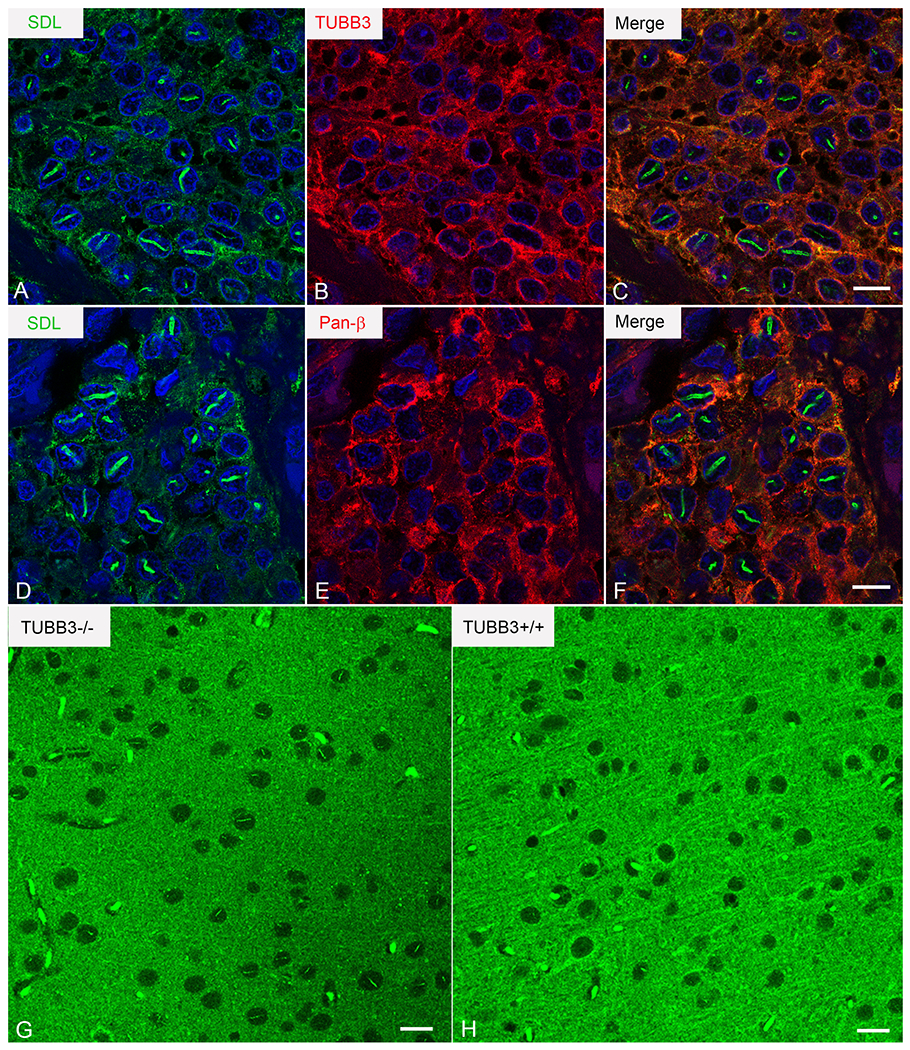 Figure 6: