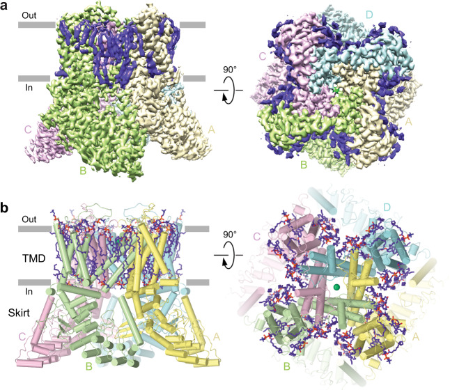 Fig. 1