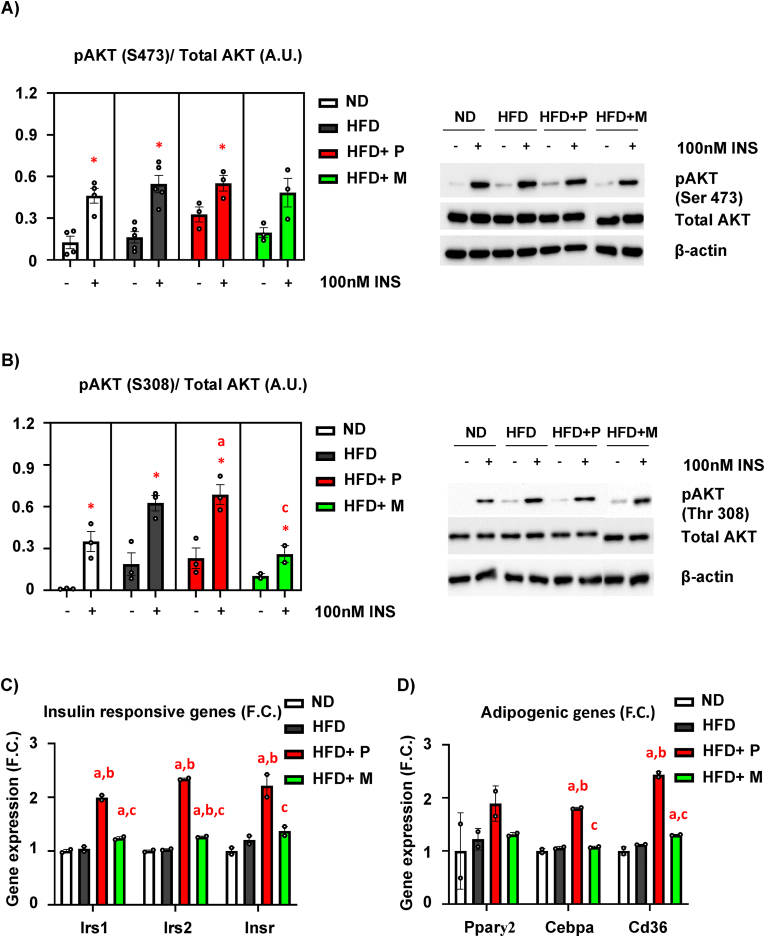 Figure 6