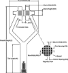 Fig. 1
