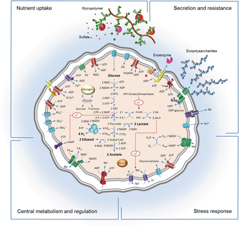 Figure 6