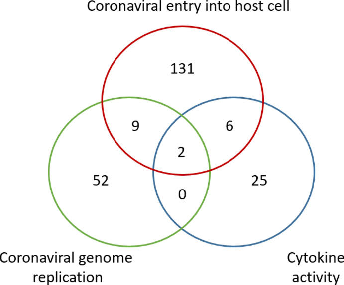 Figure 5