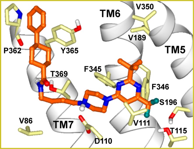 Figure 6