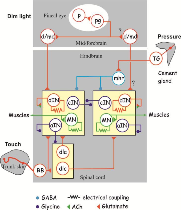 Figure 1.