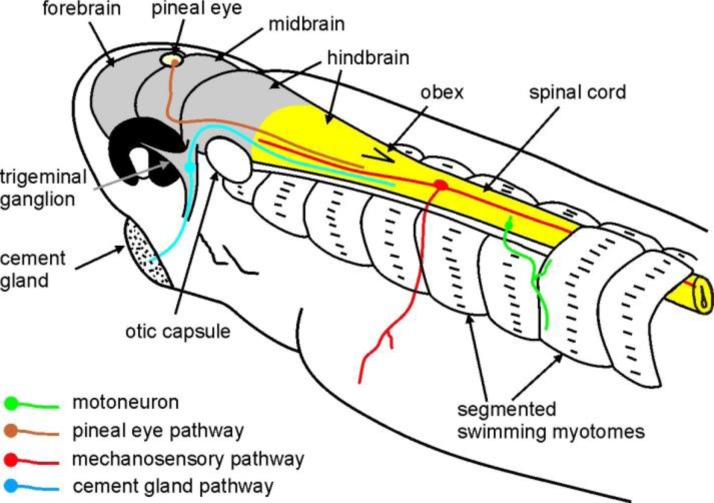 Figure 3.