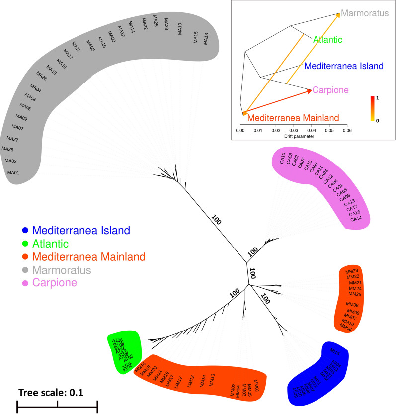 Fig. 2