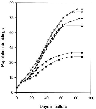 FIG. 7