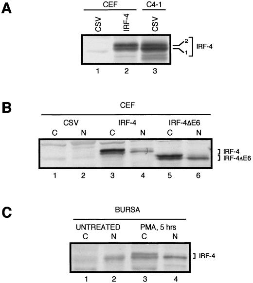 FIG. 3