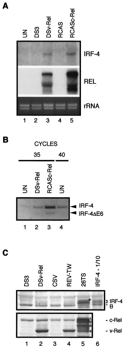 FIG. 5