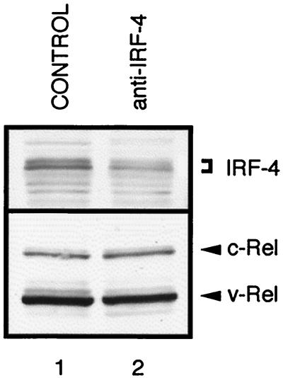 FIG. 8