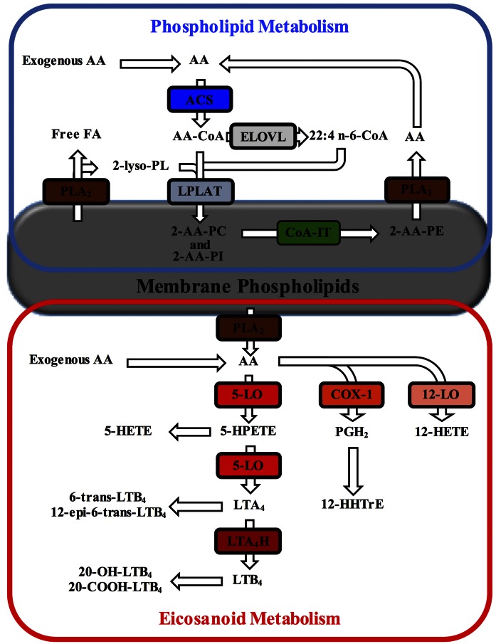 Fig. 2.