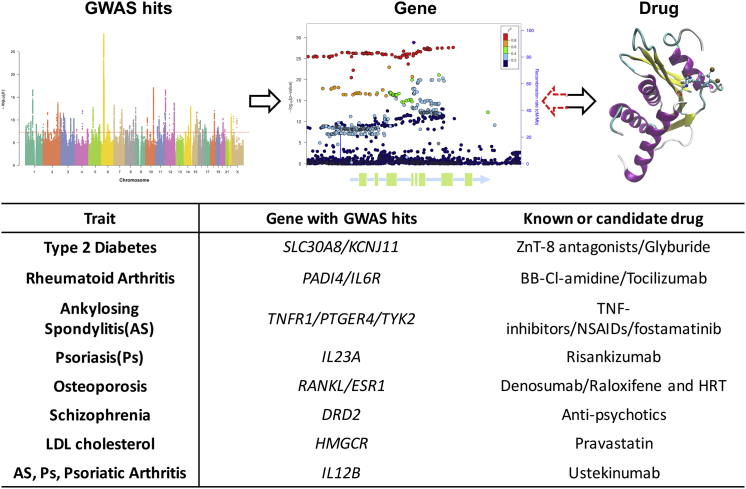 Figure 3