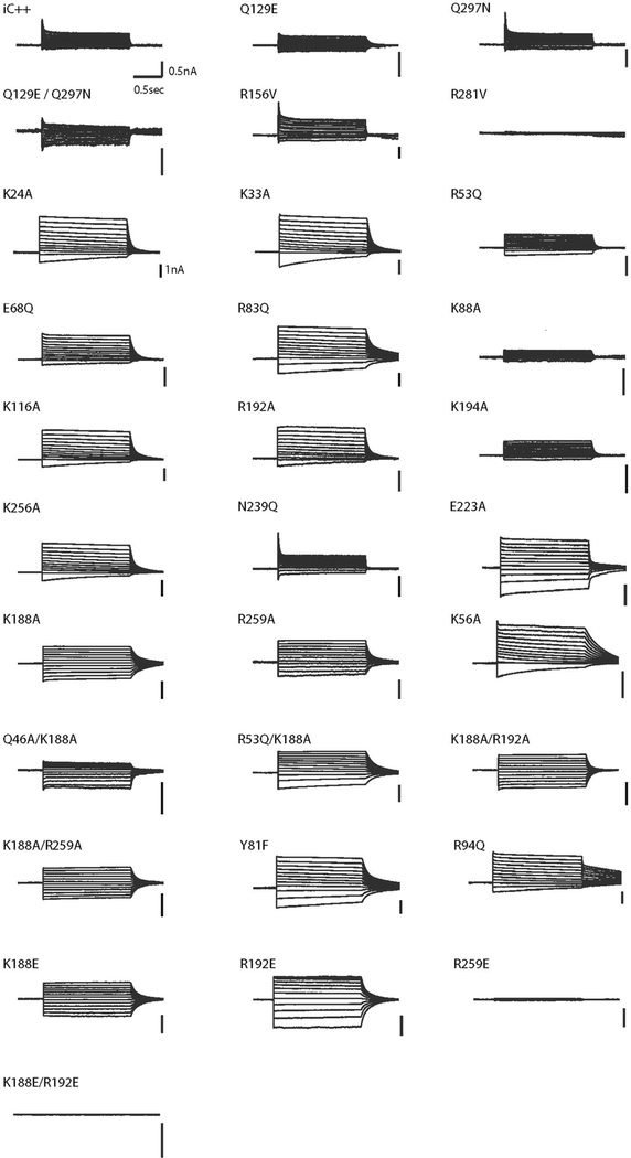 Extended Data Fig. 8 |