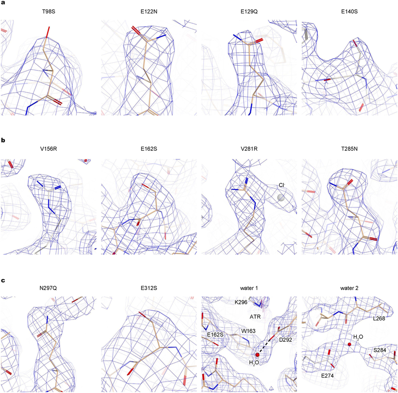 Extended Data Fig. 3 |