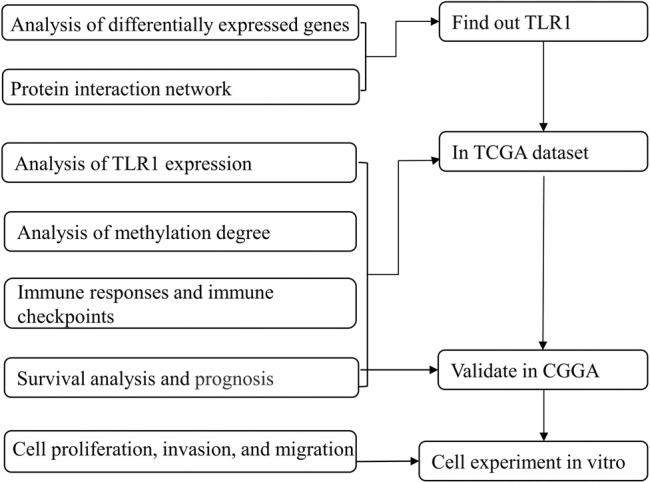 FIGURE 1