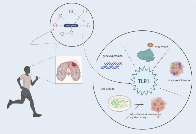 GRAPHICAL ABSTRACT