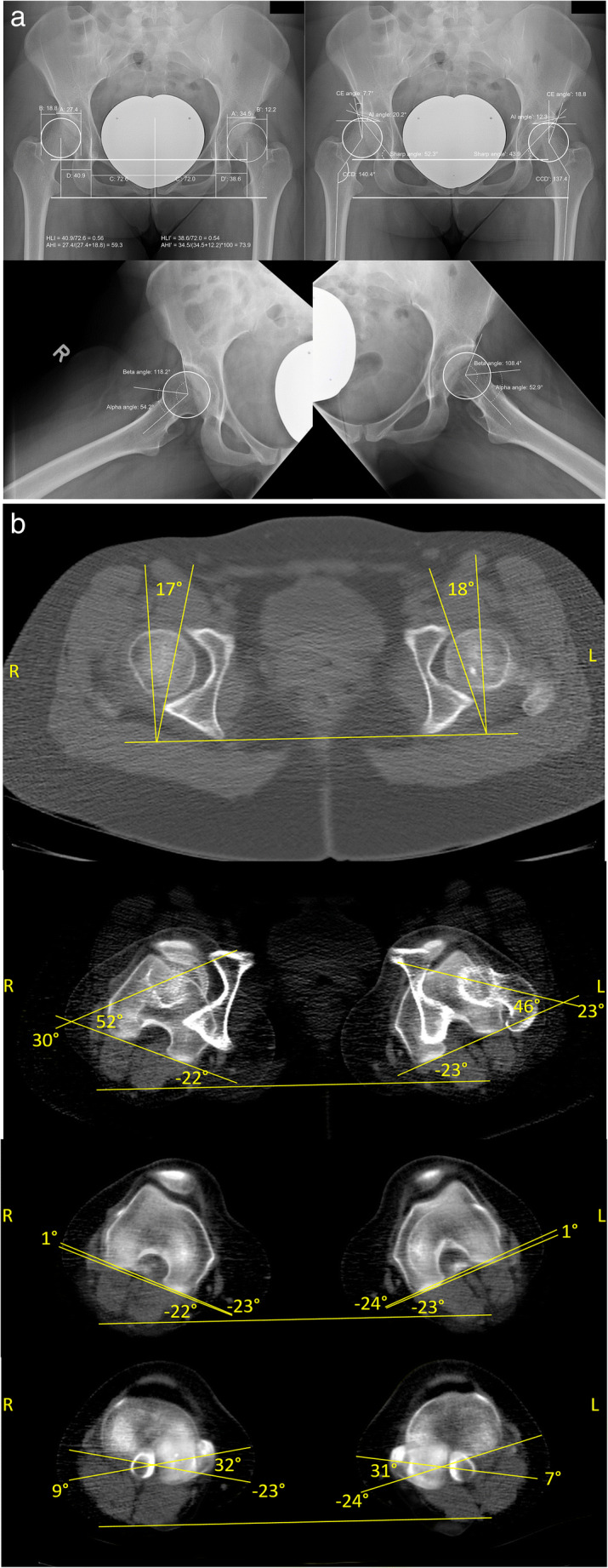 Fig. 2