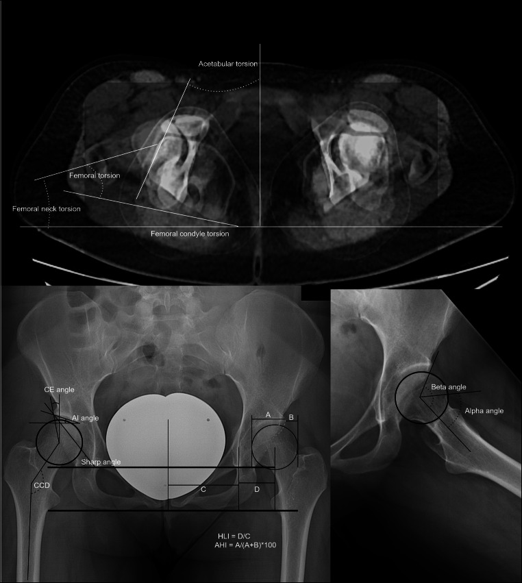 Fig. 1