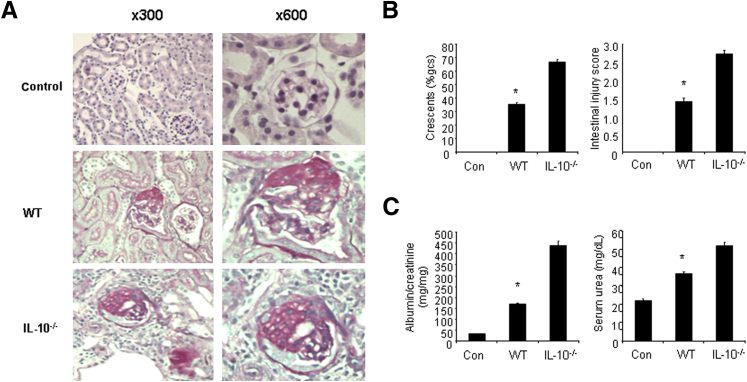 Figure 6