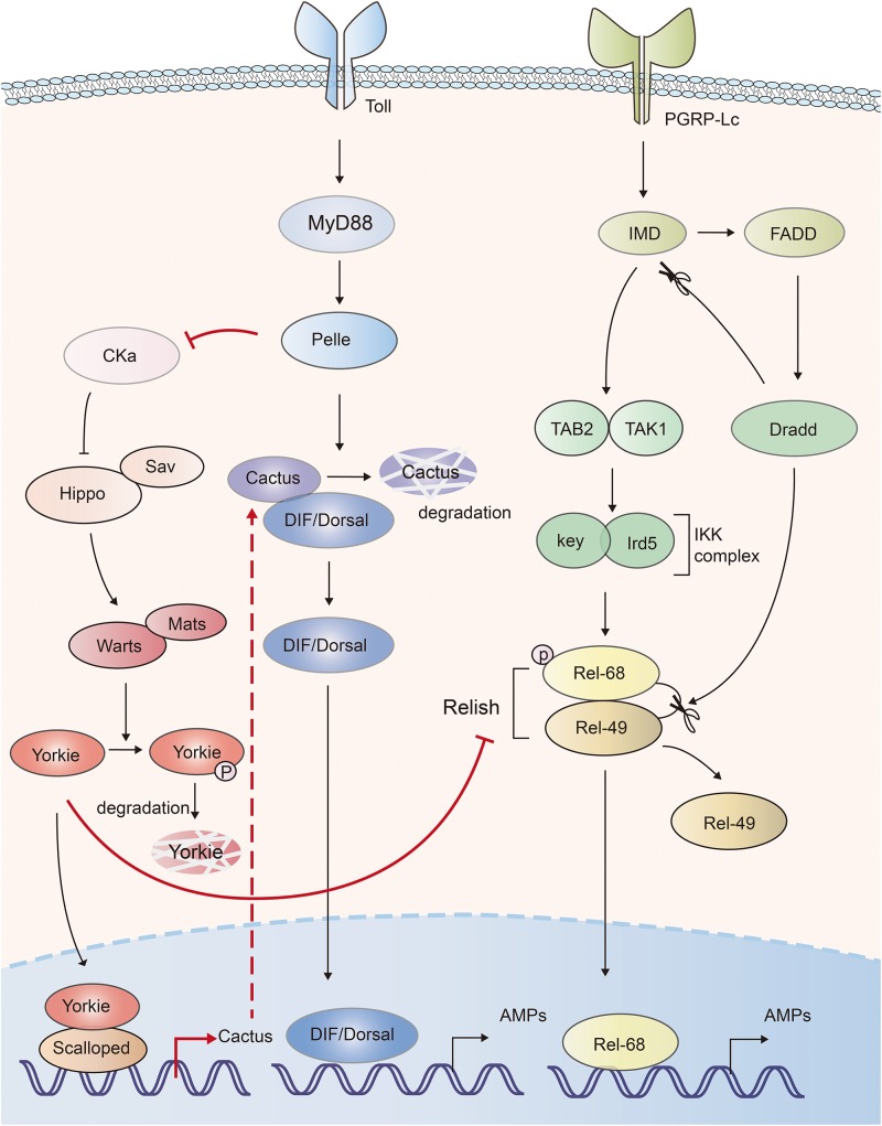 FIGURE 3