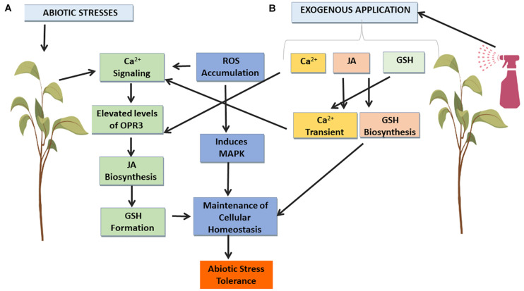 FIGURE 3