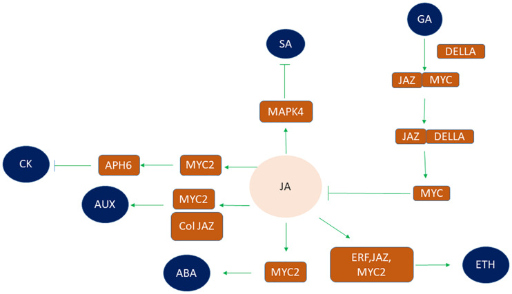 FIGURE 4