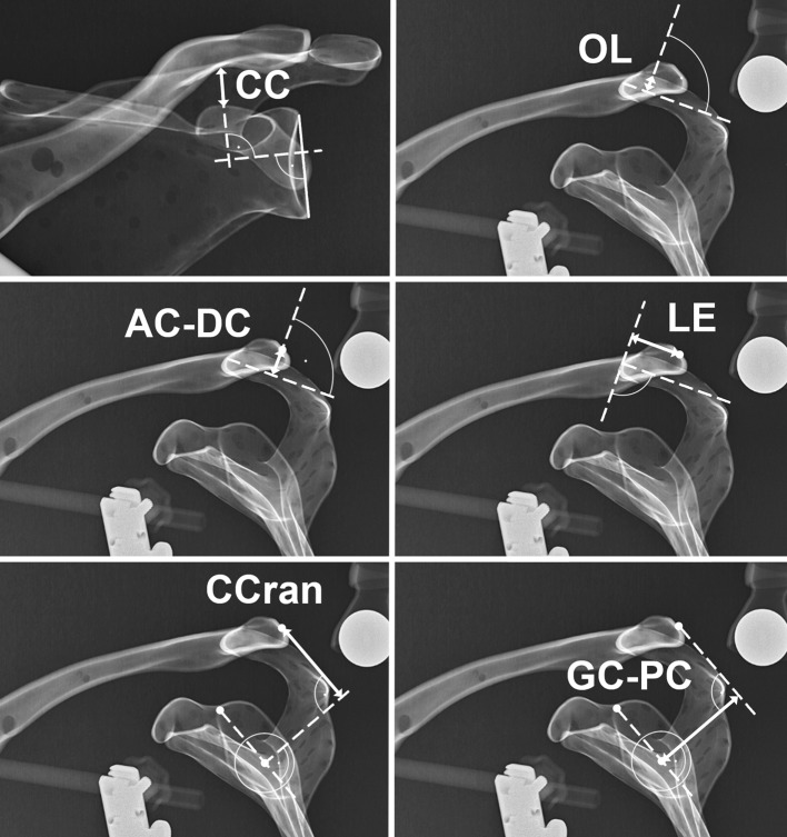 Fig. 3