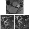 <i>Figure 3</i>