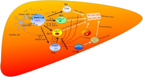 Fig. 2