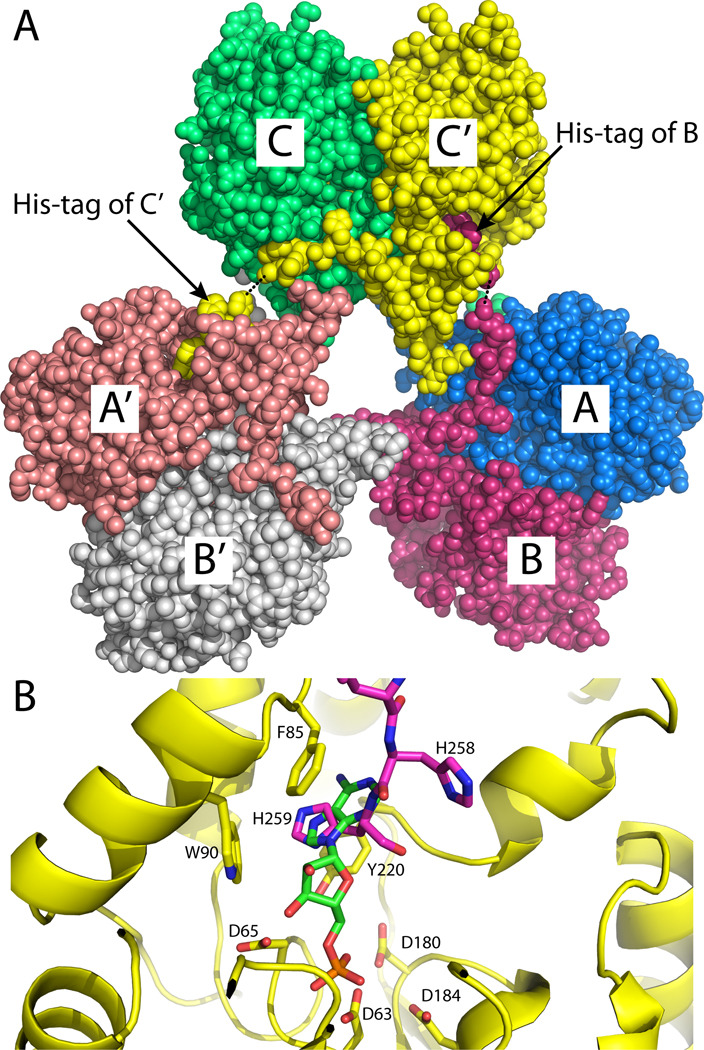 Fig. 4