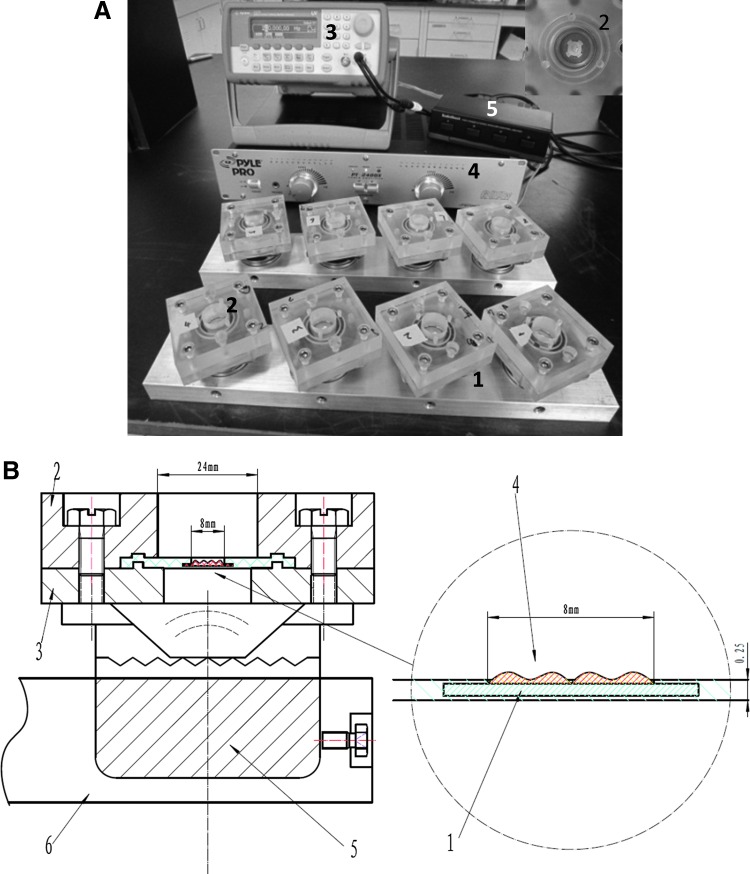 FIG. 1.