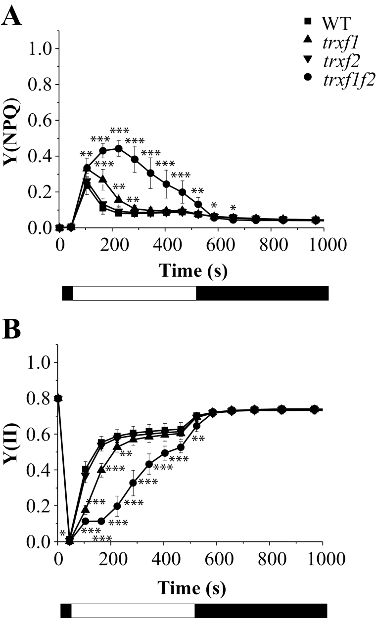 Fig. 5.