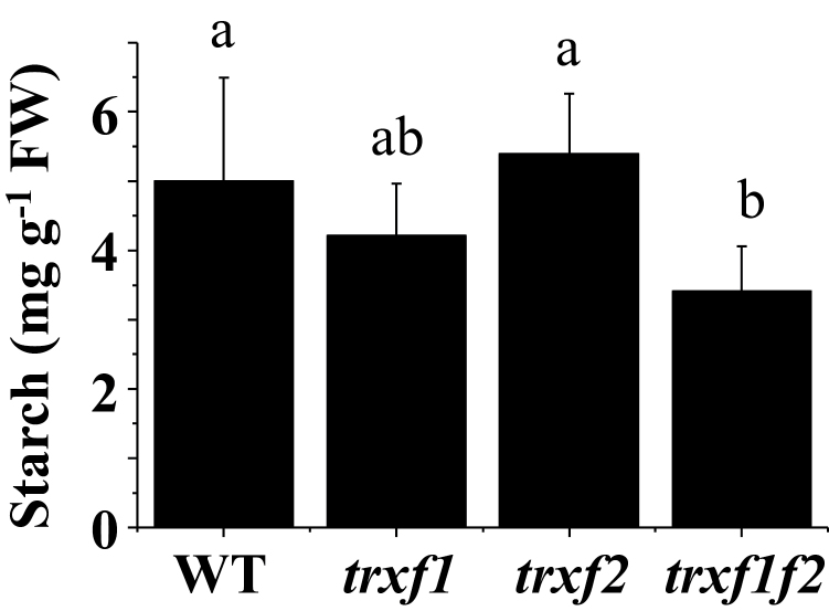 Fig. 11.