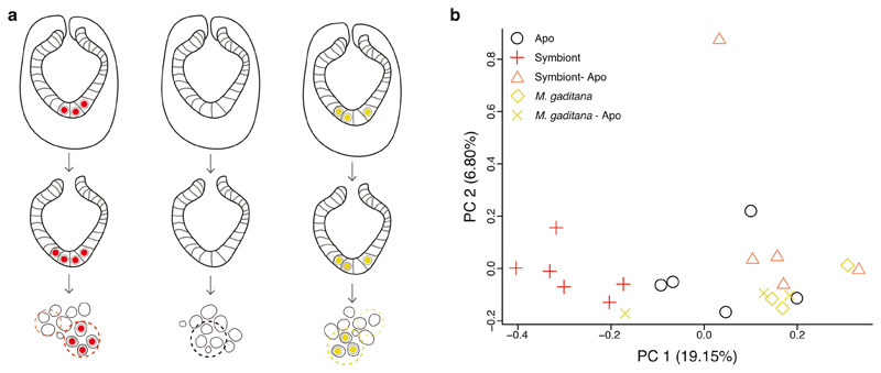 Extended Data Fig. 4